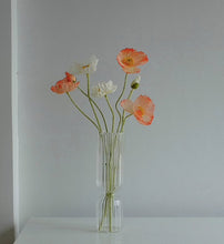 Load image into Gallery viewer, Small Glass Vases in different shapes and colours
