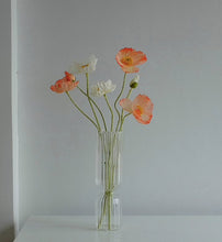 Load image into Gallery viewer, Small Glass Vases in different shapes and colours
